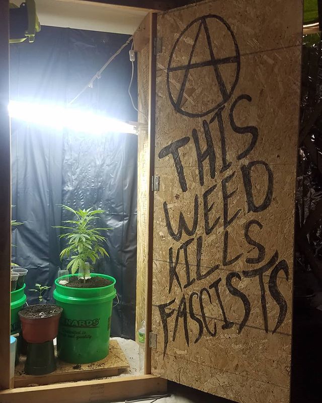 dryke4mi's tweet photo. You have until close of business tomorrow to register to vote!!!! Time to stand up, make your voice heard.

We don't need 51% voter approval for recreational cannabis, we need 91%! Here's your chance to send a message no one can ignore.

I am calling for… https://t.co/kB9HXYPFih https://t.co/jGBZNbZjWC