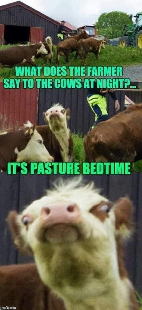 😂😂😂