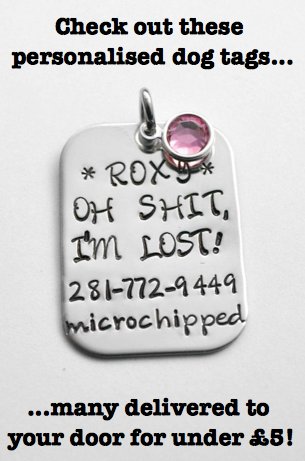 HAVE YOU GOT A PERSONALISED TAG ON YOUR DOG? 
 A dog tag is a good idea. 
dogsfirst.ie/custom-dog-col…

#DogsFirst #PersonalisedDogTag #CustomDogCollars #BuyOnAmazon #DogInterest