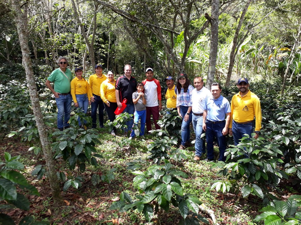 FNC_NteSantande's tweet photo. La @CommunityCoffee visita #NortedeSantander con el objetivo de compartir con las familias Caficultoras de Toledo, Labateca y Chitagá. Por más de 15 años esta compañía ha comprado la cosecha de café que producen las familias de esta parte de la región.  @FedeCafeteros https://t.co/UAEnZIZFcT