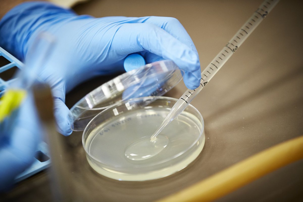 UNLV Research tweet media