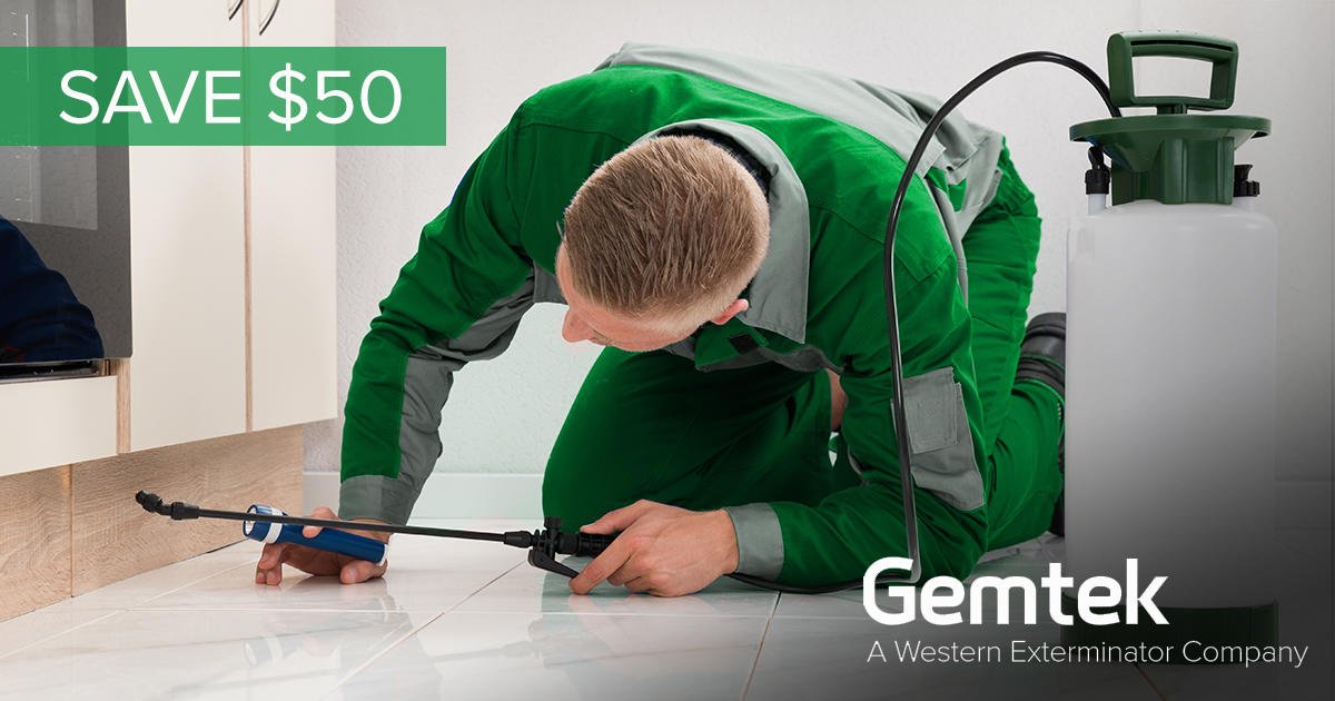 Make sure the only guests you have this fall are invited ones. Our pest365 service keeps pests out all year long. And, for a limited time, you* can save $50! (*New customers only.) #NoVacancy

fal.cn/SBnU