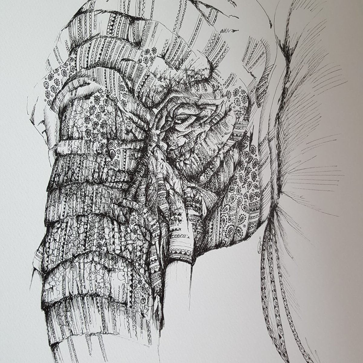 doodleiciousart's tweet photo. Still a work in progress.. #BigArtBoost #artist #patternedart #MondayMotivation #SaveTheAsianElephants #savetheplanet @SavetheElephant #naturelover @elephant @KenyaWildTrust @savetheplanet #biggerpicture #Art @change https://t.co/9SoAxC0l14