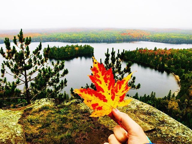 Lalaaprincessa's tweet photo. Current situation: Back from my first ever camping trip ⛺️🛶🍁🍂 scrolling through epic pics 📸 whilst cuddled up in my cozy bed (quite grateful to be warm 😜). 💖⁣
⁣
This weekend I went on a camping trip to #algonquinprovincialpark with @overhangadven… https://t.co/dS2Zm6OHfO https://t.co/WMEGjEmmg4