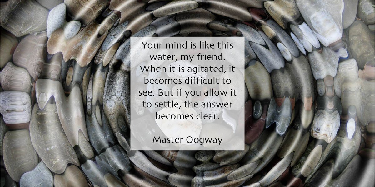 togetherwalks's tweet photo. Your mind is like this water, my friend. When it is agitated, it becomes difficult to see. But if you allow it to settle, the answer becomes clear. Master Oogway #motivationmonday #fibromyalgia #nfcpa #fibrowarriors #spoonies https://t.co/RevDNVtxBJ