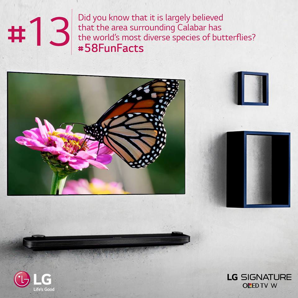 Fouani_Nig's tweet photo. Did you know that the area surrounding Calabar has the world’s most diverse species of butterflies? Though this claim is not verified, the areas between Cameroon and Nigeria boasts of close to 2,000 species of butterflies. Don't miss a thing. #LG58FunFacts #LG #OLEDTV #Lifeisgood https://t.co/QZ5jgaNlEH