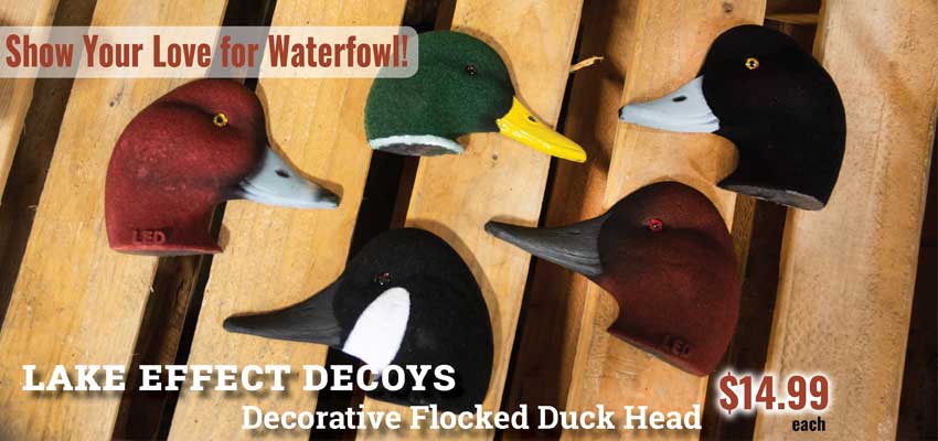 mackspw's tweet photo. Show your love of waterfowl wherever you go with the @LakeEffectDecoy Decorative Flocked Duck Heads. Hang 'em anywhere! The kit includes Duck Head, Hook and Magnet.
https://t.co/KPUYcA9aZi https://t.co/zo2KmvihDp