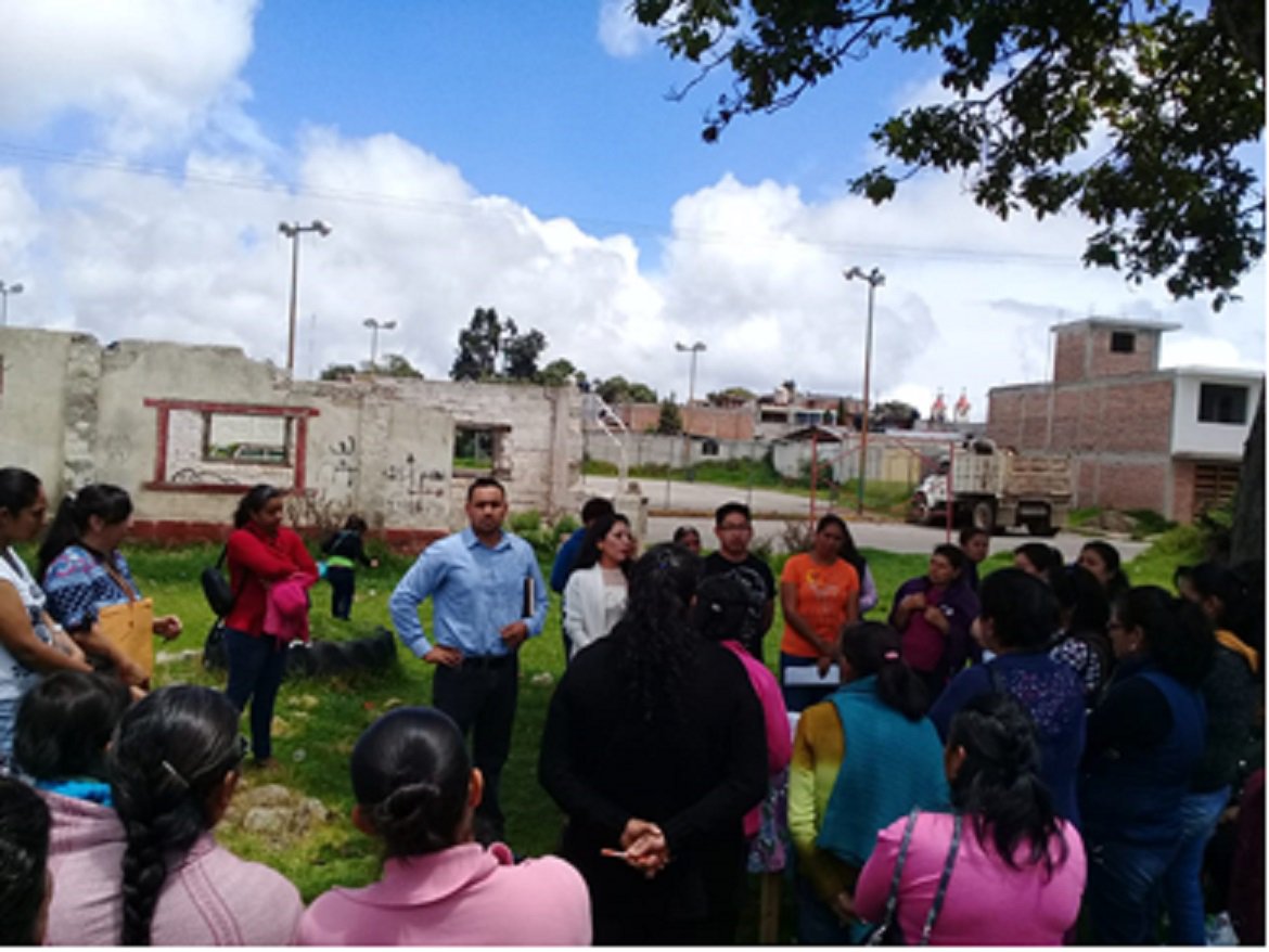 SADERPue's tweet photo. En estos meses entregamos Paquetes de Huertos Familiares del Programa Apoyo a Pequeños Productores del Componente “El Campo En Nuestras Manos” 2018.
#SAGARPAPue @SAGARPA_mx @Fermin_Montes @MujeresCampo https://t.co/8naoWumJRy