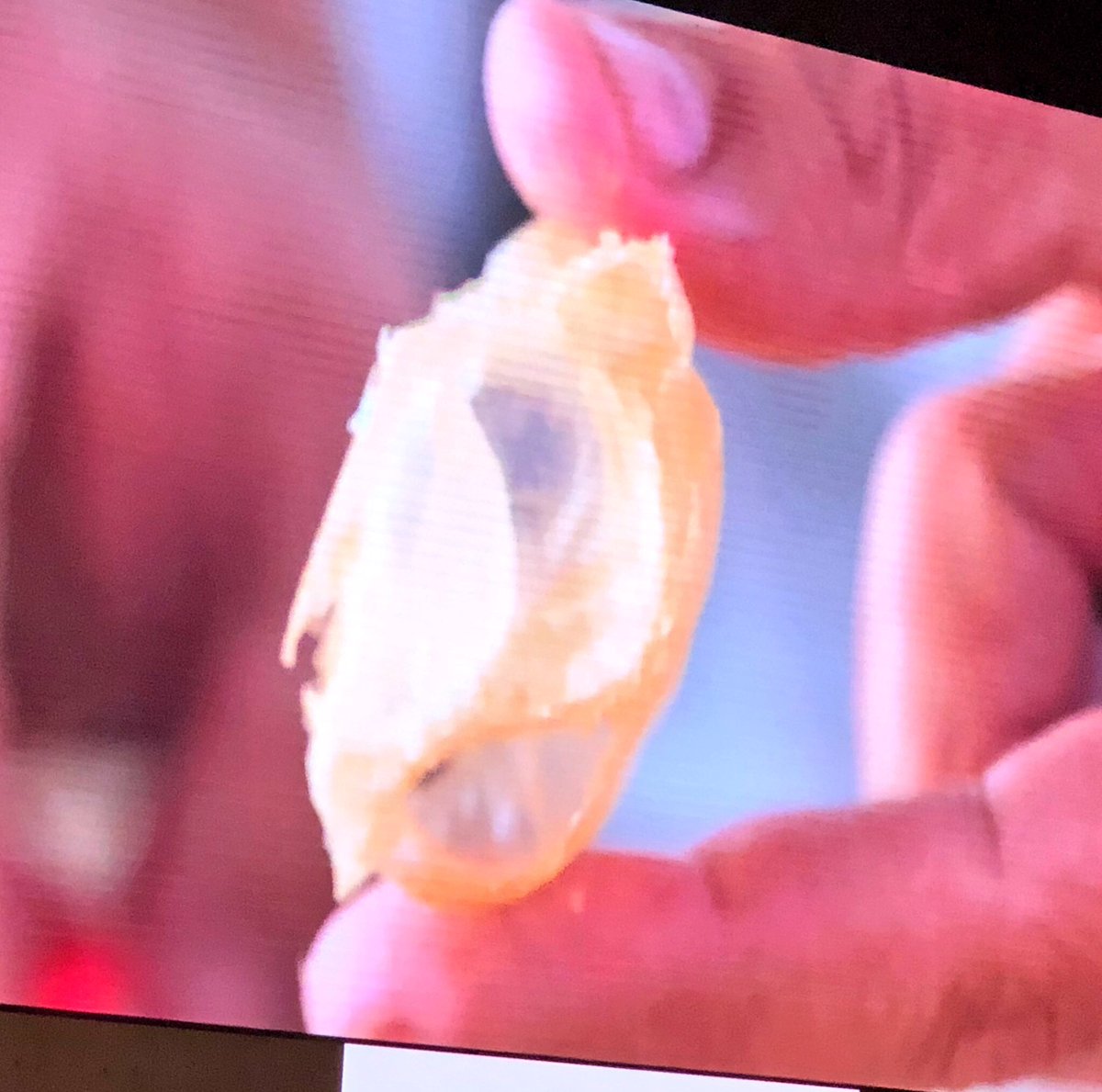 juliaplozano's tweet image. En manos de @DisfrutarBCN los ingredientes tecnológicos adquieren otra dimensión. No todo van a ser chuletas 😂😂😂 Una ponencia didáctica y entretenida para los que siempre están dispuestos a aprender #ssg18