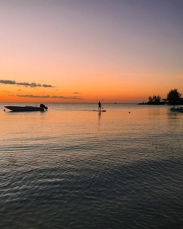 mcxnv's tweet photo. Nothing quite like a paddle board at sunset to shake off those Monday blues 🌅🏄🏼‍♂️ https://t.co/nkUfT3bcl1 https://t.co/0RAWYOAgol