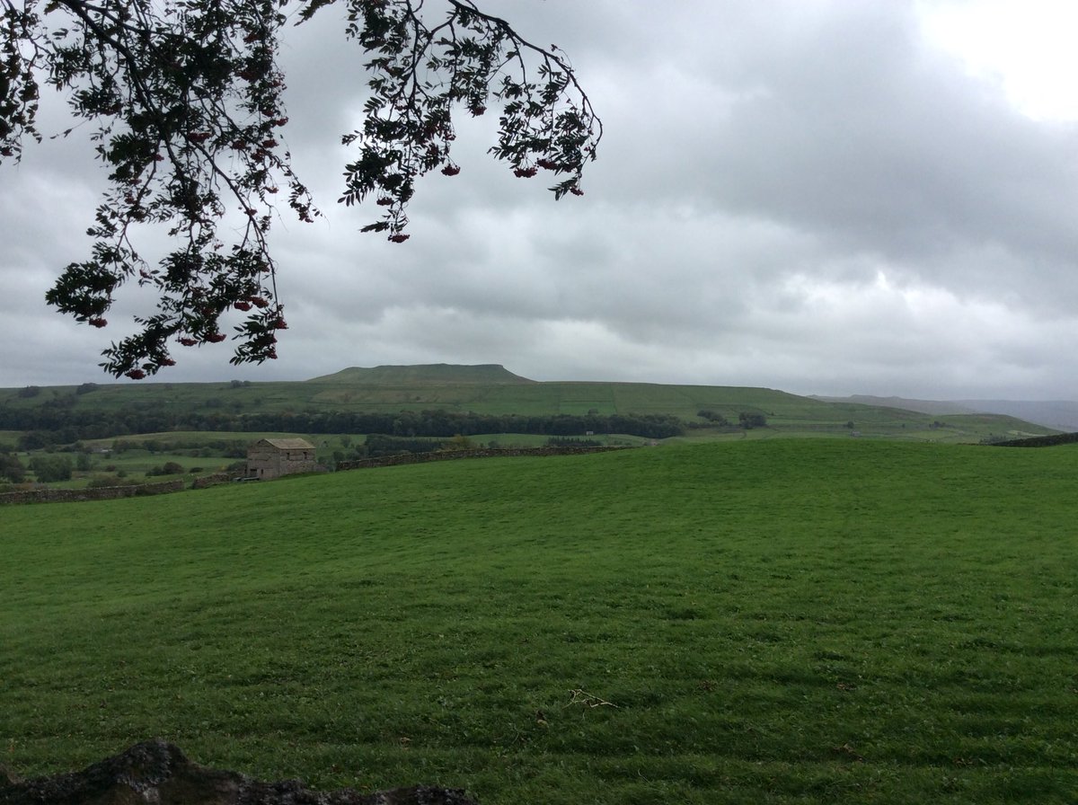 staynorHprimary's tweet photo. We’ve had a lovely nature walk this afternoon. We’ve loved looking at the stunning scenery. @eboractrust @lowmillaskrigg #nature #lowmill https://t.co/4vx3jOLRAK
