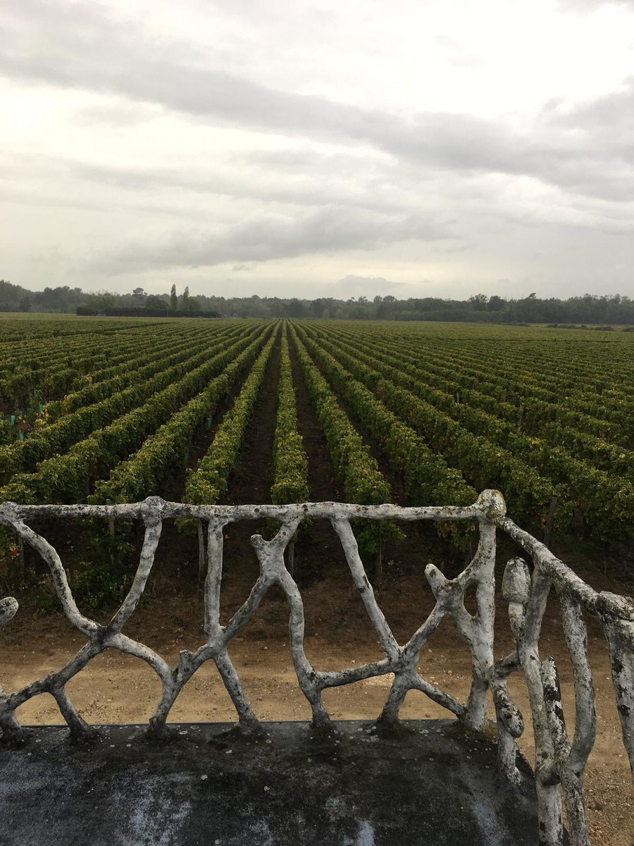 thomashoud's tweet photo. [ Visite Canadienne 🇨🇦 - Sauternes ] Merveilleuse visite au Château Caillou 1er Grand Cru Classé depuis 1855. @le_sauternes @SauternesUnion #GroupeTutiac @Tutiac @SweetBordeaux #Sauternes @DivinParadis https://t.co/XeyJiLLhFC