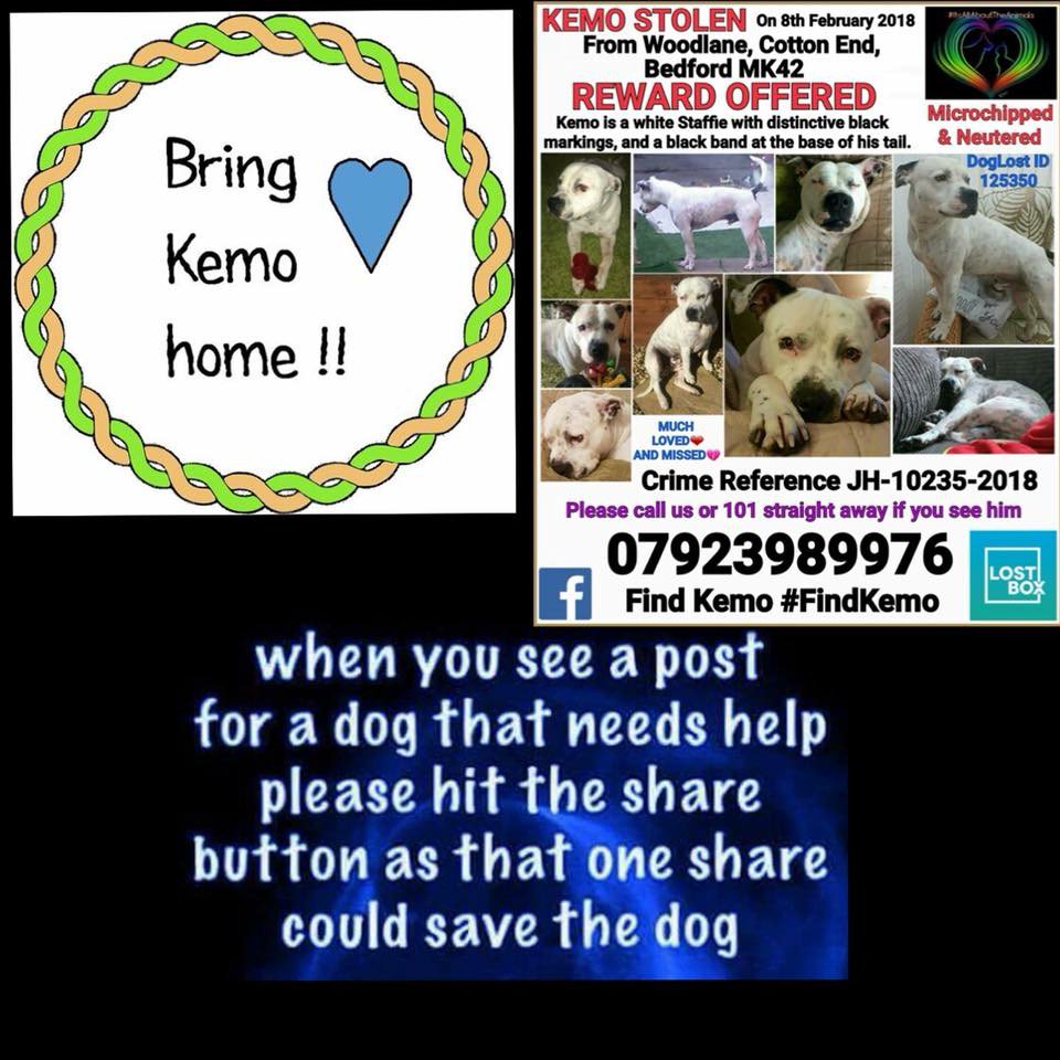 Find_Kemo's tweet photo. On #MakeADifferenceMonday its #Twitterstorm night please #Tweet to any celebrity that you follow and ask them to #Tweet to keep his #Face in their memory https://t.co/LNFkALaYcF