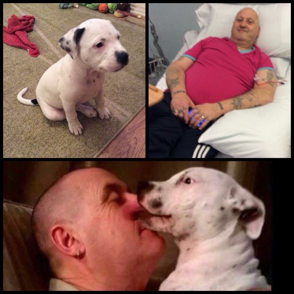 Find_Kemo's tweet photo. On #MakeADifferenceMonday its #Twitterstorm night please #Tweet to any celebrity that you follow and ask them to #Tweet to keep his #Face in their memory https://t.co/LNFkALaYcF