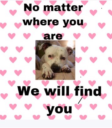 Find_Kemo's tweet photo. On #MakeADifferenceMonday its #Twitterstorm night please #Tweet to any celebrity that you follow and ask them to #Tweet to keep his #Face in their memory https://t.co/LNFkALaYcF