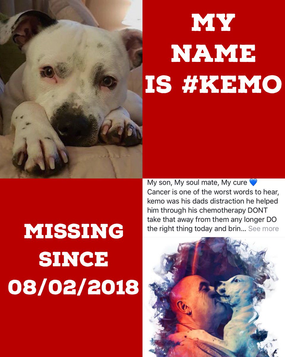 Find_Kemo's tweet photo. On #MakeADifferenceMonday its #Twitterstorm night please #Tweet to any celebrity that you follow and ask them to #Tweet to keep his #Face in their memory https://t.co/LNFkALaYcF
