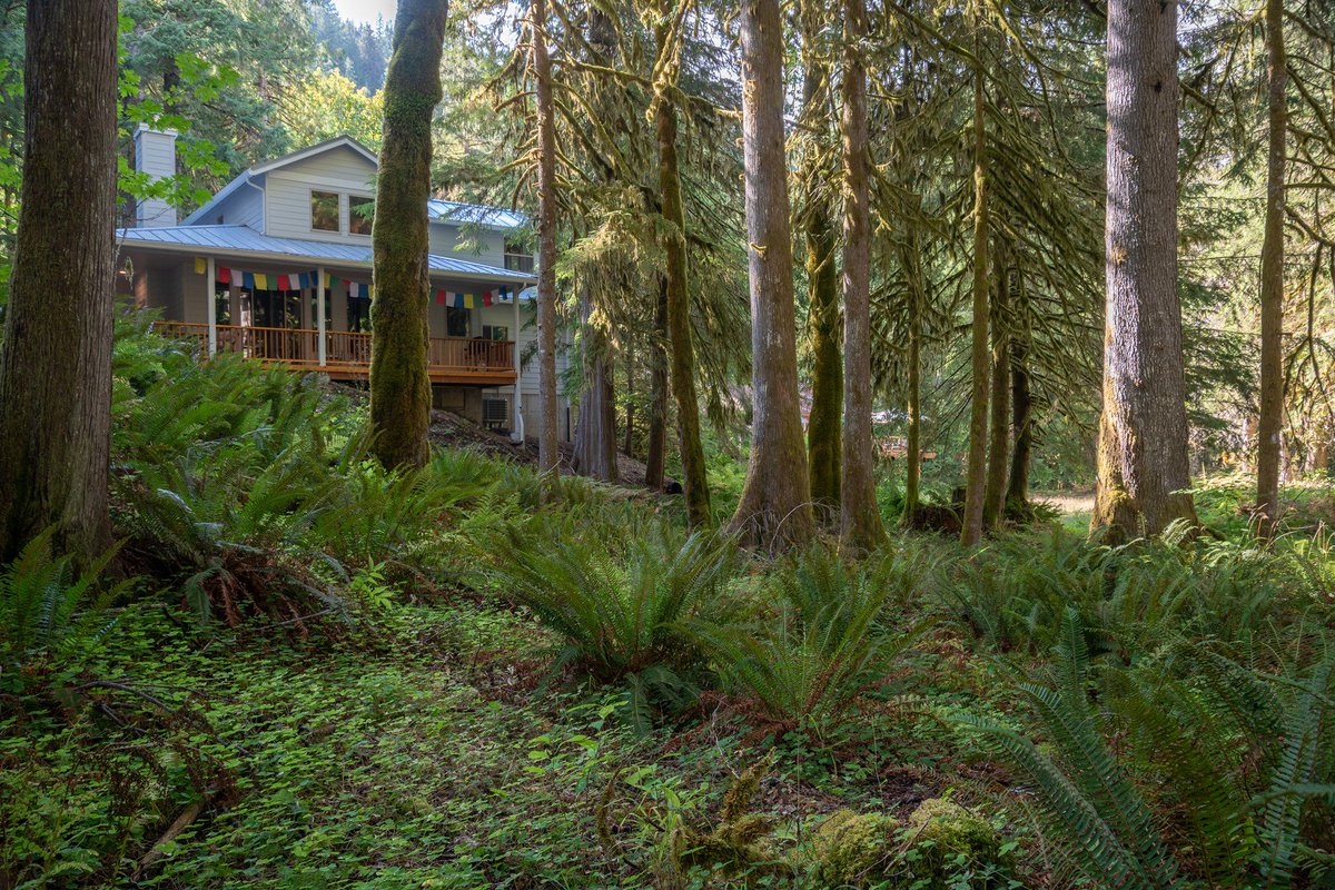 MtHoodRentals's tweet photo. Riversong Retreat Guest Suite, our newest Mt Hood Vacation Rental is the ideal relaxation basecamp after an active day at Mt Hood. Serene & quiet Salmon River. @MtHoodRentals #mthood2018 #vacationrentals #omht #salmonriver https://t.co/qhUqtx4eda https://t.co/l5QclxLsKA