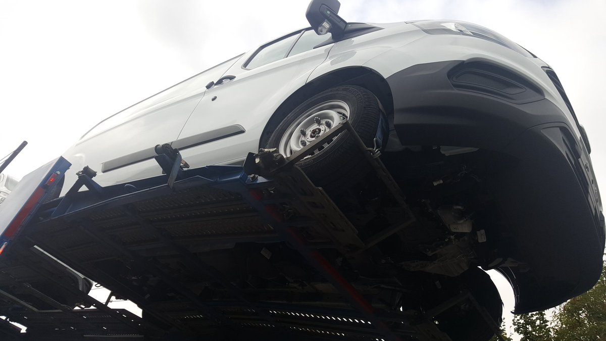 P J Nicholls Ltd (pjnichollsltd) Twitter