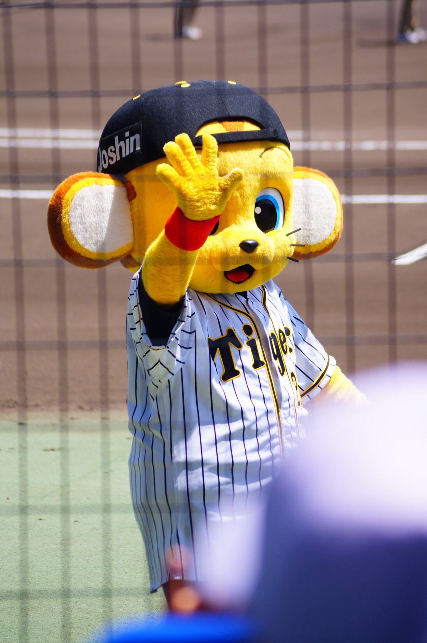 キー太かわいい Twitter Search Twitter