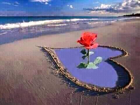 786999k's tweet photo. Always Listen to Your Heart... It may be on your left, but it is always right. "Never Chase Anyone". 💖💕🌷 https://t.co/bmw0nxdpSx