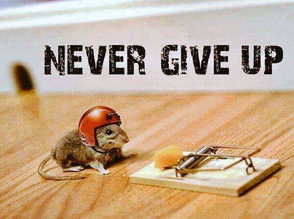 fragoutcc's tweet photo. Weekends over, now go get after it!
#mottomonday #motto #motivation #motivationmonday #americandream #freedom #captilism #fragoutclothingco https://t.co/fKly67ZNGM