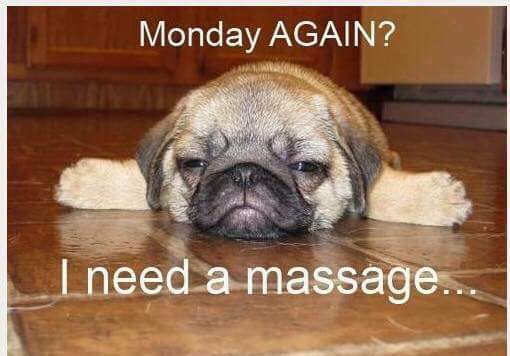harthillhallspa's tweet photo. #mondaymotivation #massagetherapist #MondayMood 💆‍♀️💆‍♂️💅 https://t.co/WKZdBDm3nC