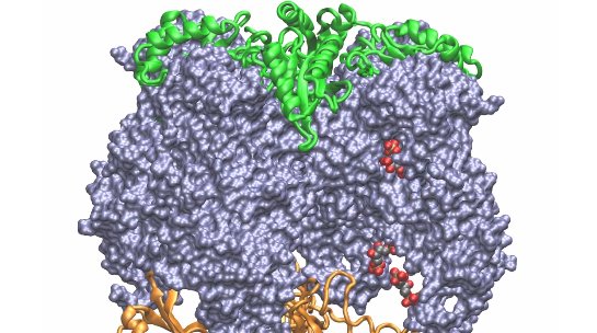 ISBSIB's tweet photo. Support the #crowdfunding project to print 'The Naked #Protein', a book of 100 top Protein Spotlight blog stories by SIB's Science Writer Vivienne Gerritsen - and get your own copy & gifts 🎁 Thx to #biology #scicomm lovers for RT! @uniprot @ScienceBooster https://t.co/w906o0dUYa https://t.co/3b19SD81fI