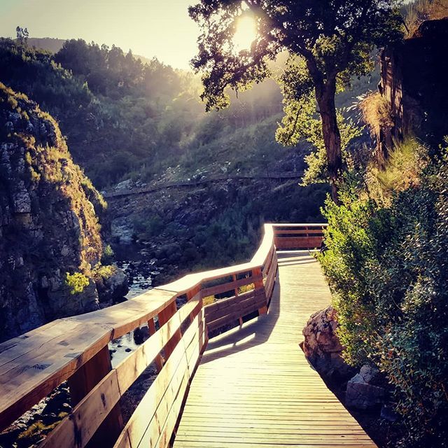 In the center of Arouca, there lies an 8km path that winds its way along the River Paiva, dappled with lush native plants and rare Mediterranean fauna. Admittedly,  it was the perfect weekend escape for some deep nature bathing.