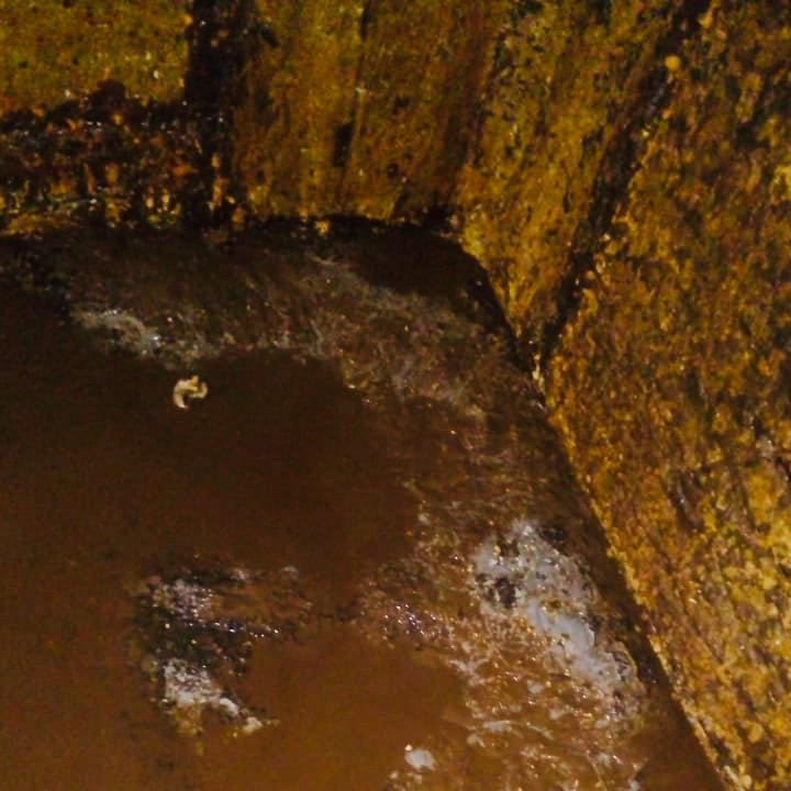 tanqueslimpios1's tweet image. #EstaBueno evitar que los controles de tanques de agua queden desregulados. No queremos consumir #agua que proviene de tanques como los de estas imágenes. Exigimos #salud. Firmá acá la petición y digamos #TanquesLimpiosSí. #FelizLunes #BuenLunes 👇
change.org/search?q=tanqu…