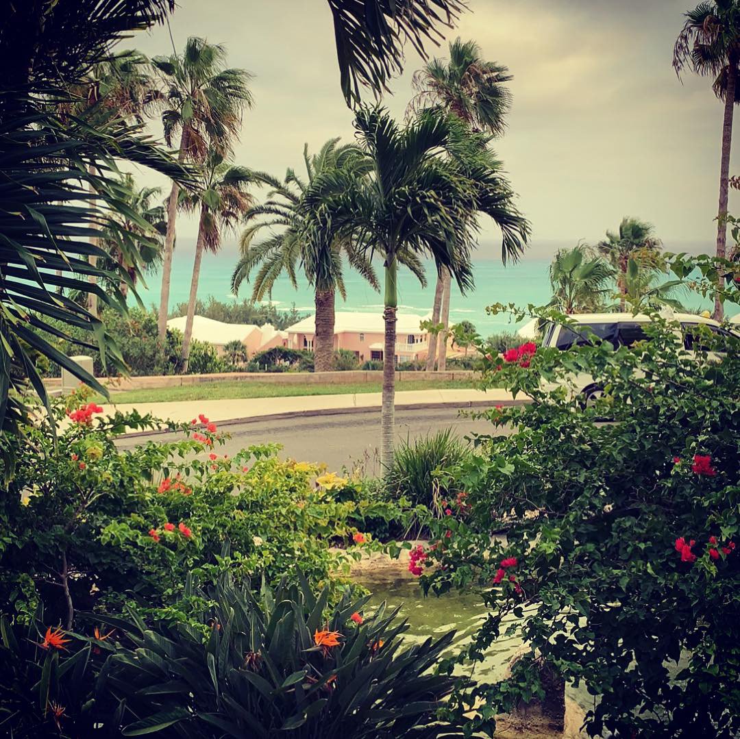 zehir_m's tweet photo. Merci @Orange_France @huawei séminaire aux #Bermudes 🙏 🌞🌴 https://t.co/v9dnXP0LfT