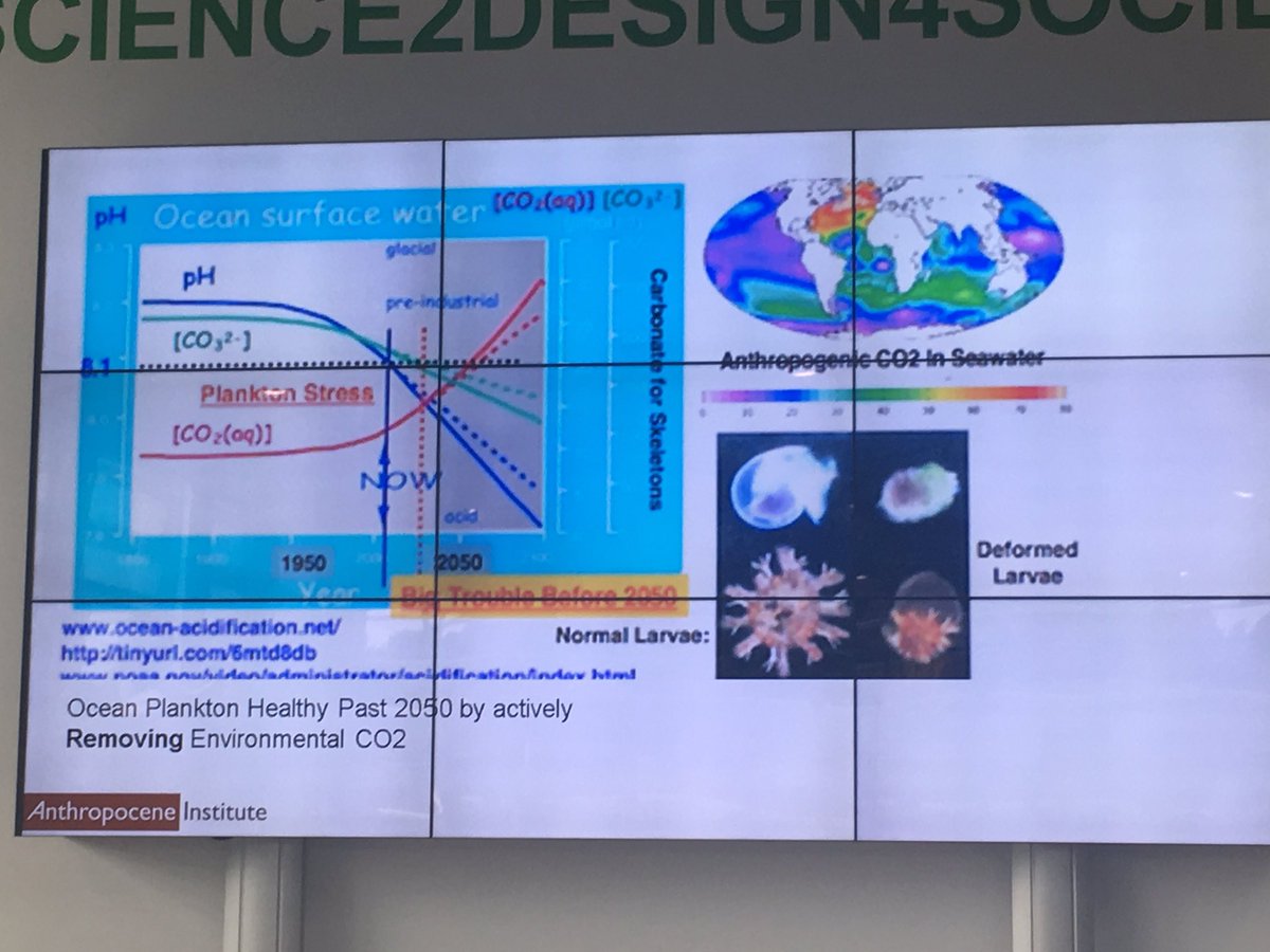 AmperaPark's tweet photo. Very interesting lecture by Carl Page President of the Anthropocene Institute.
#cleanenergy #Sustainability https://t.co/sh17xj8xhG