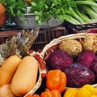 MercadodTamulte tweet picture