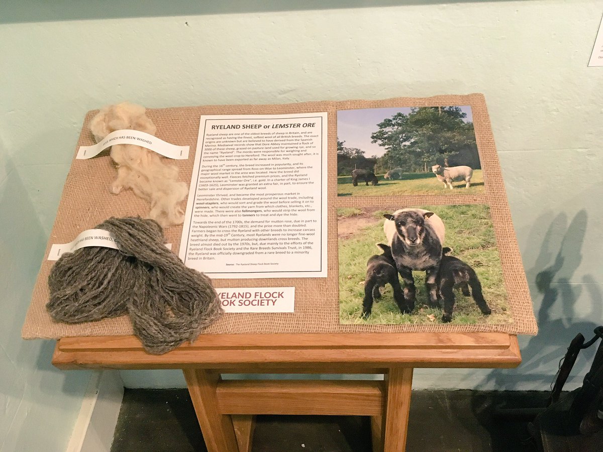 #HerefordHour for #woolweek we have a little bit of history on the wool industry local to #Leominster Ryelands Sheep, the famous local breed. Available for you to look at.