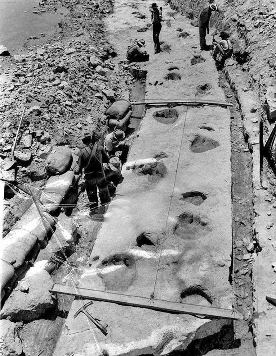 Tracks being removed from the Paluxy River near Glen Rose, 1952.

@TheHistoryofTX @TxHistComm @tslac #texashistory @texasmonthly @TxHistFound @BullockMuseum @TexasTribune @txstandard @TexasHighways  @txglo #Texas @txhcm @DinoValleySP @GlenRoseTexas