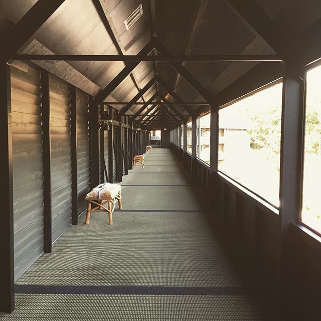 aethadavey's tweet photo. The long walk... https://t.co/LWgHFF7o2o https://t.co/VSWGWFNsh4