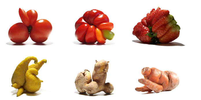 LaudrenH's tweet photo. 👩‍🌾👨‍🌾Producteurs de fruits/légumes et coopératives voici une initiative qui va vous plaire 😀  Et si 100% de vos récoltes étaient valorisées?
Donnez votre avis et aidez nous dans notre projet en⏱4 minutes chrono
#antigaspi #ZeroDechet #foodtech #agtech 
↓
https://t.co/YwXxFGv7yz https://t.co/iJRlWmkoFR