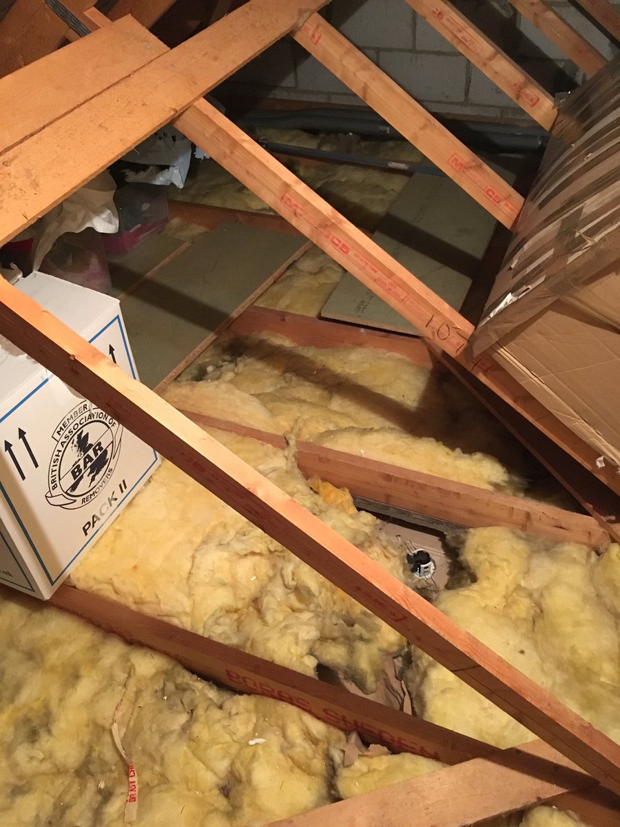 Fibreglassandspiders Hashtag On Twitter