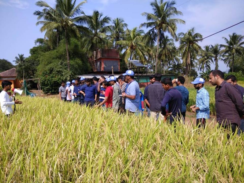CWCOfficial_GoI's tweet photo. Visit of newly recruited CWES officers to #Saguna #Baug to see #Saguna #Rice #Technique. It is a new unique method of cultivation of rice and related rotation crops without ploughing, puddling and transplanting. https://t.co/OlirBp56GQ