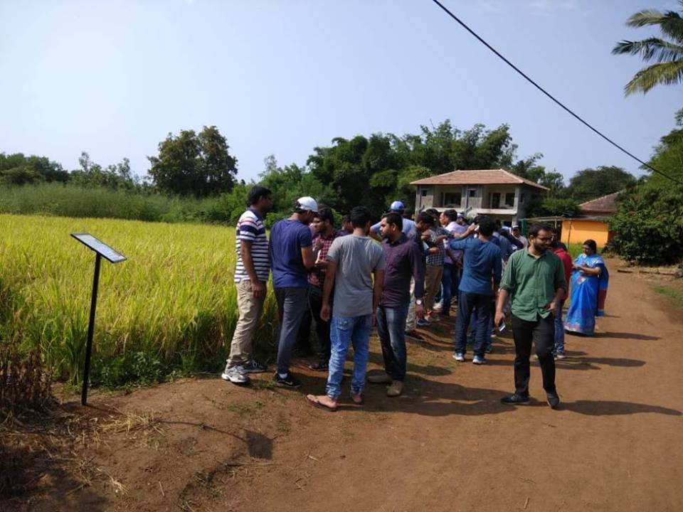 CWCOfficial_GoI's tweet photo. Visit of newly recruited CWES officers to #Saguna #Baug to see #Saguna #Rice #Technique. It is a new unique method of cultivation of rice and related rotation crops without ploughing, puddling and transplanting. https://t.co/OlirBp56GQ