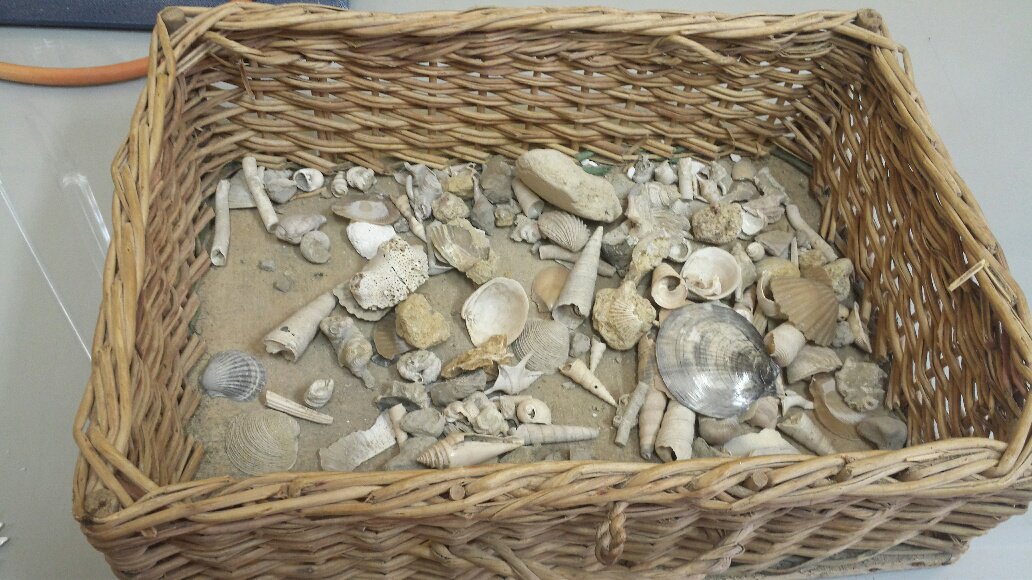 ItaliaDidattica.it tweet media