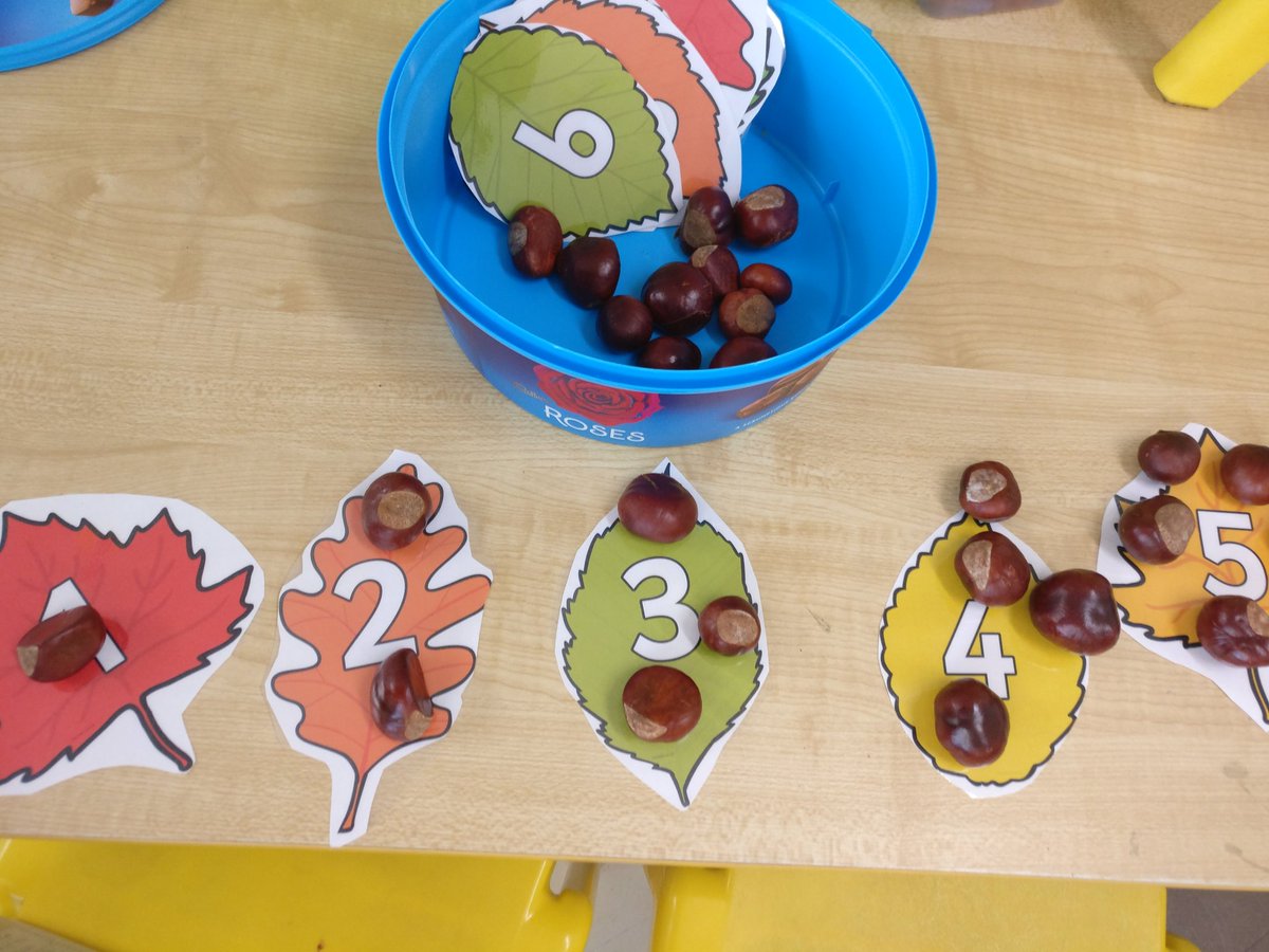 stbrigids_gns's tweet photo. Putting the conkers we found to good use! @mathsweek #horsechestnuts #mathsstations #counting #matching #sorting #seniorinfants https://t.co/FXrBOzDGaZ