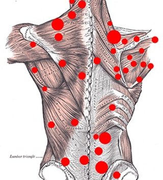 DRS Medical Rehab tweet media