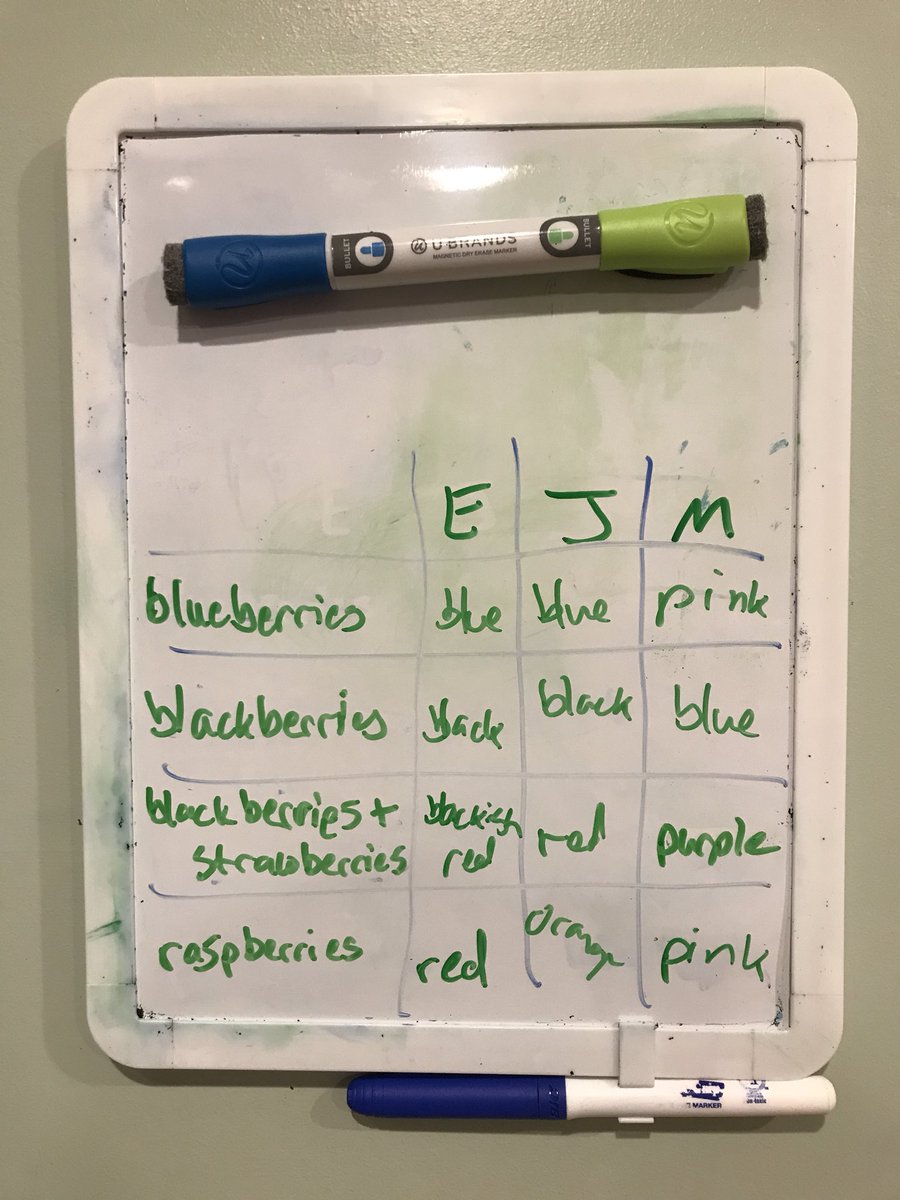 windsweptknits's tweet image. For the scientific record - here are our dye pot predictions.  I may have a slight advantage in that I’ve washed all these berries out of little boy clothes for years. #scienceathome #makesciencefun