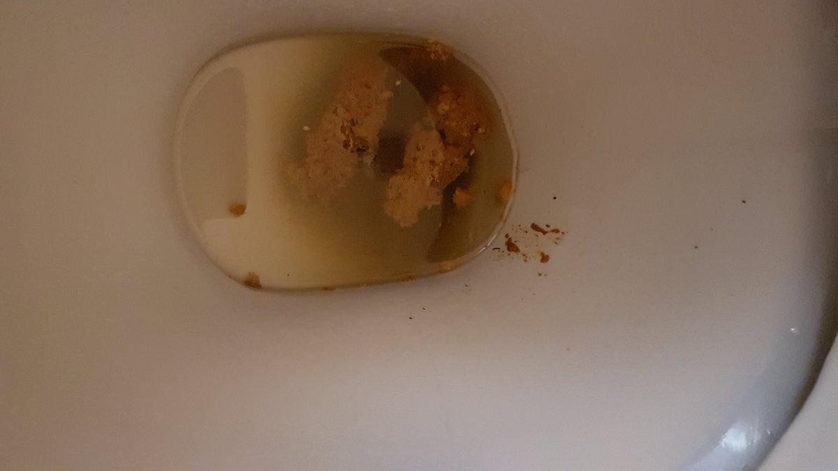 day_poop's tweet photo. https://t.co/p3xO9WTthj