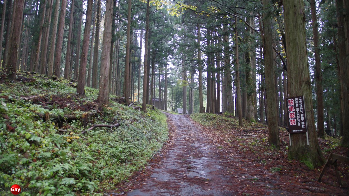 GoGayJAPAN's tweet photo. Let's take a walk...๐๐๏ฟฝ๏ฟฝ
#japan #japantravel #gaytravel #gaytours #gayprivatetours #GoGayJAPAN #LonelyRoninTravel https://t.co/SJIDPHvKfD