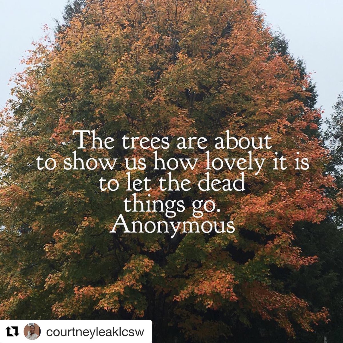 courtneylcsw's tweet photo. Find the beauty in letting go! #liveoutloud #mentalhealth #blackmentalhealth https://t.co/KRWoBWWVSg