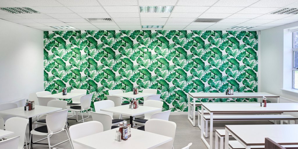 Blueprint_Int's tweet photo. Feature wallpaper wall brightening up one of the communal spaces at the project we designed and delivered for the East Midlands Chamber of Commerce offices in Derby #interiorinspiration #workplacedesign #featurewallpaper https://t.co/xFxmwObmRK