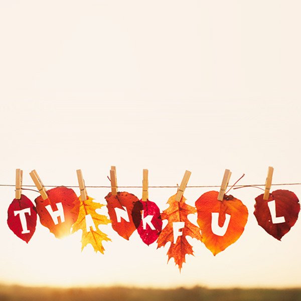 CBphysical's tweet photo. "What if, today, we were grateful for everything?" - Charlie Brown https://t.co/B7DUqesuNw
