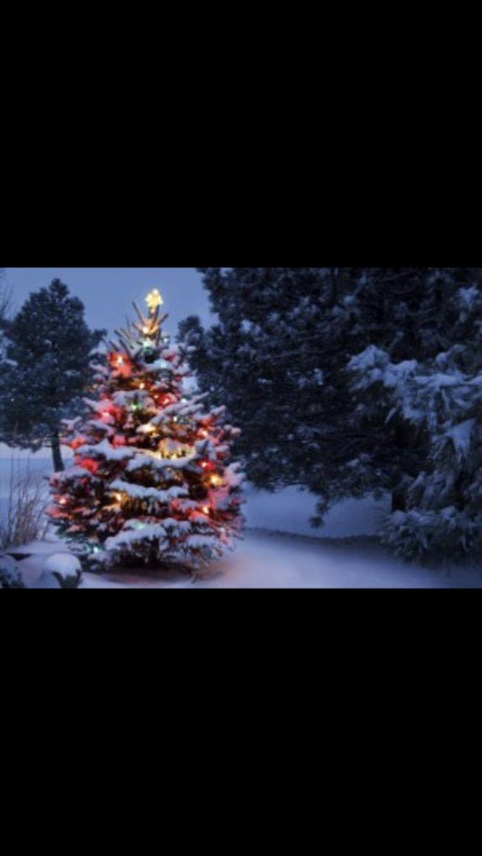 WhoopXmas's tweet photo. Over 80% or the Exhibitor stands for our upcoming Christmas Fayres have now been sold. Get in touch quick to get in on the action! #Christmas https://t.co/1OUH3tzVaC