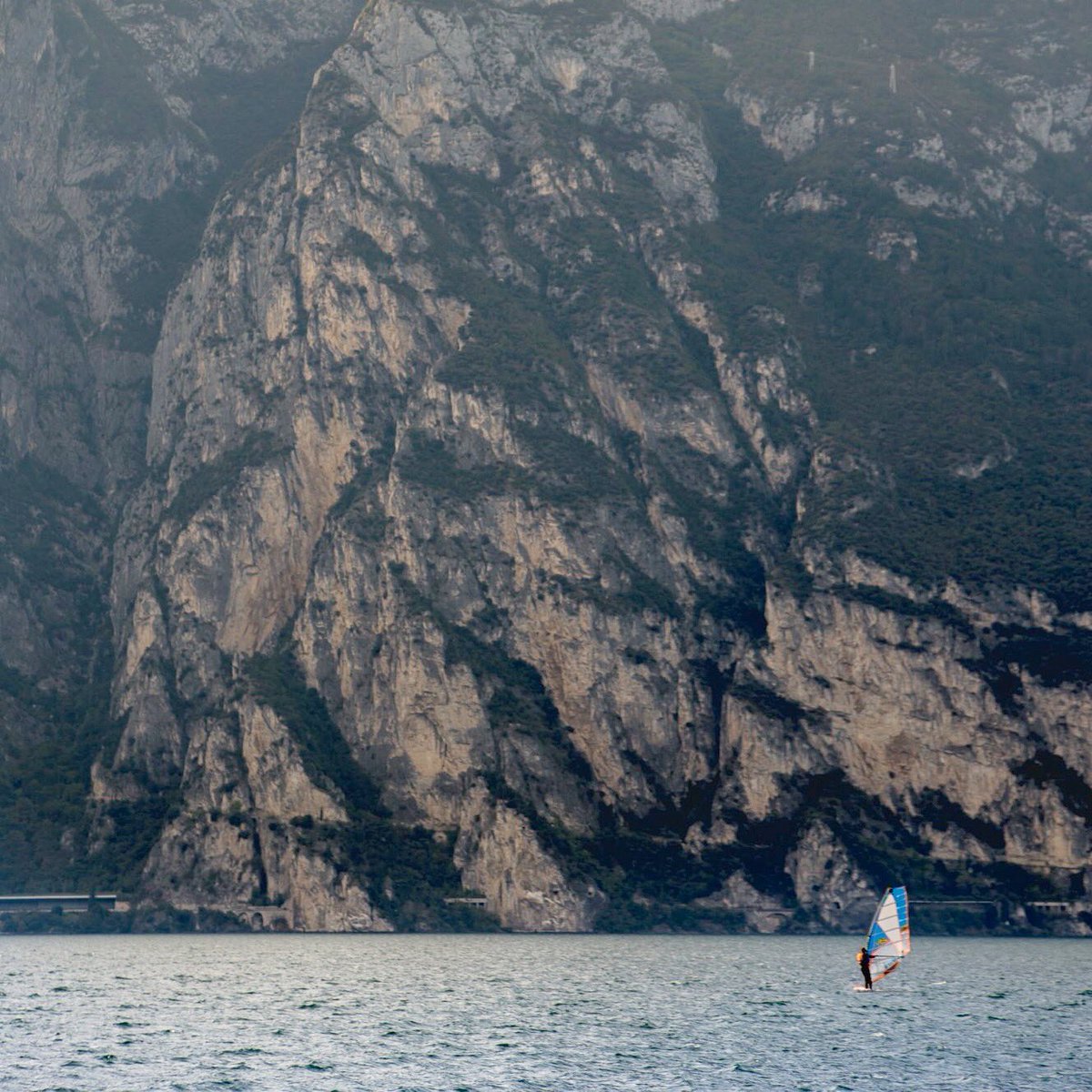 Kevin Barta tweet media